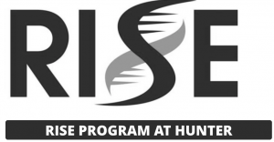 RISE Logo_bw